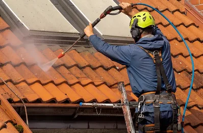 Démoussage et hydrofuge de toiture à Vergheas